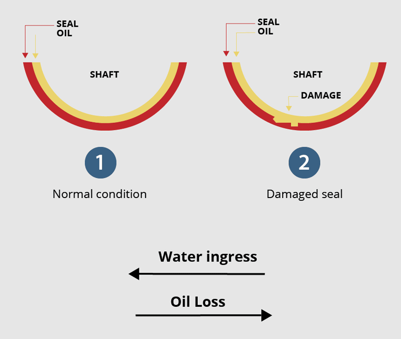 Additives- Oil Additives- Oil